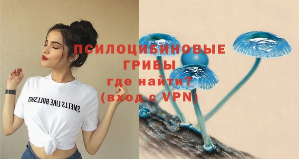 таблы Михайловск