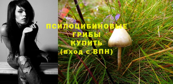таблы Михайловск