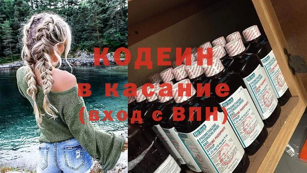 индика Михайлов