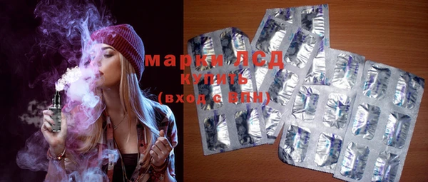 индика Михайлов