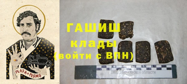 индика Михайлов