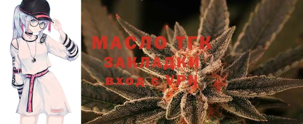 индика Михайлов