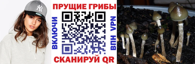 Псилоцибиновые грибы мухоморы  Наволоки 