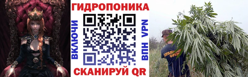 МАРИХУАНА марихуана купить Наволоки